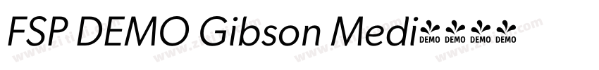 FSP DEMO Gibson Medi字体转换